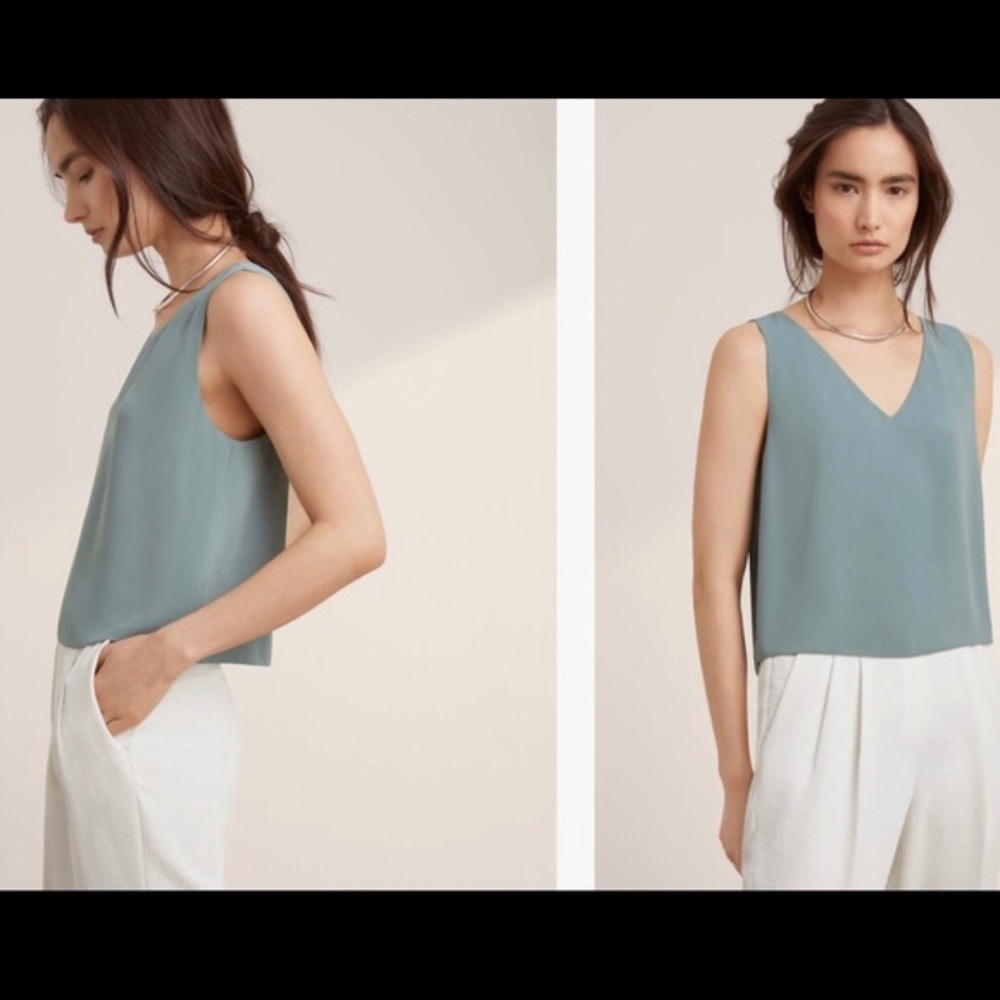 Aritzia Babaton Murphy Sleeveless Blouse